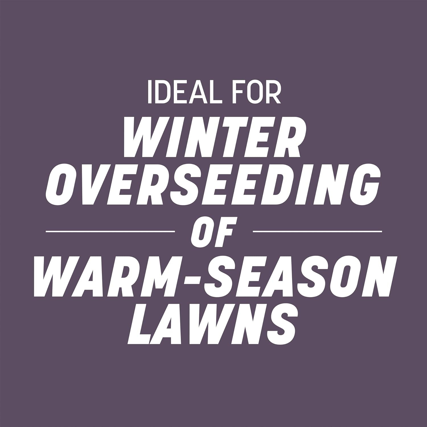 Pennington Annual Ryegrass Seed, Grass Seeds for Lawn, 10 Lb