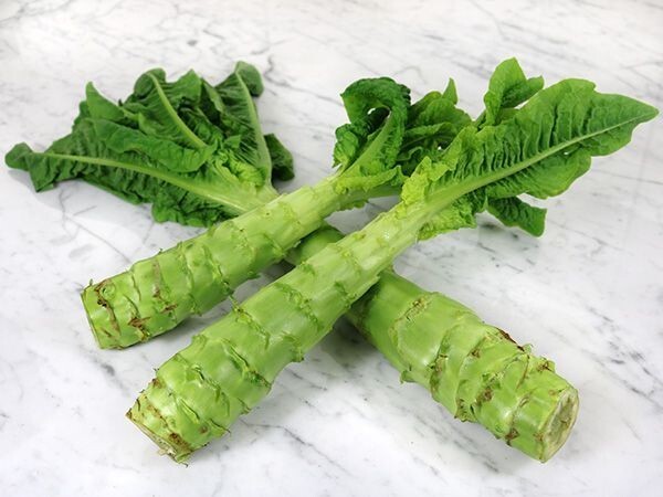 RARE✿ Heirloom Mountain Jumbo Celtuce/Wosun/Asparagus Lettuce 50+ Seeds