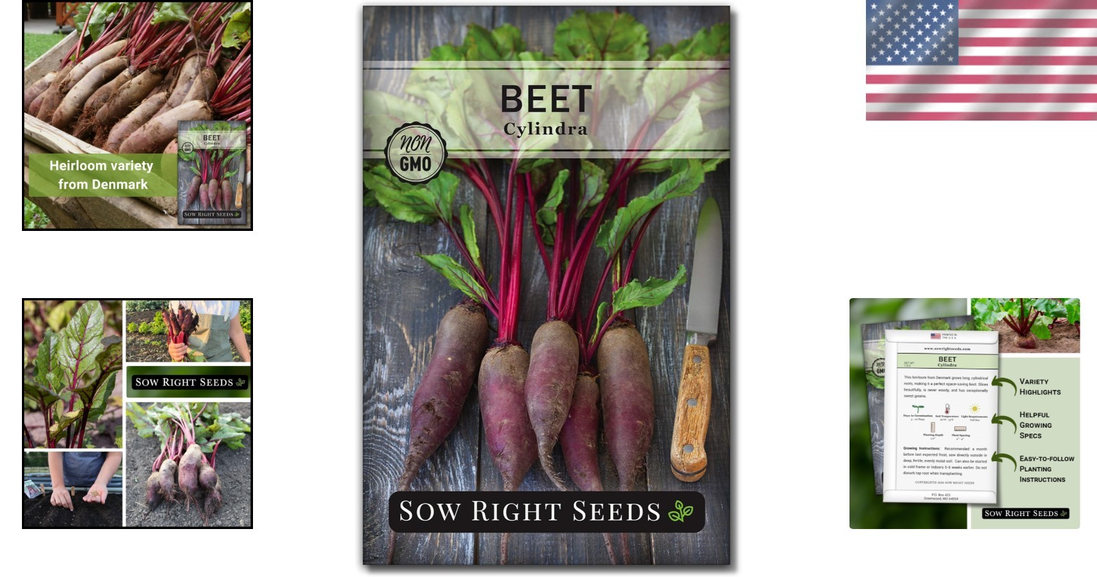 Cylindra Beet Seeds – Heirloom Seeds with Planting Instructions for Home Gardens