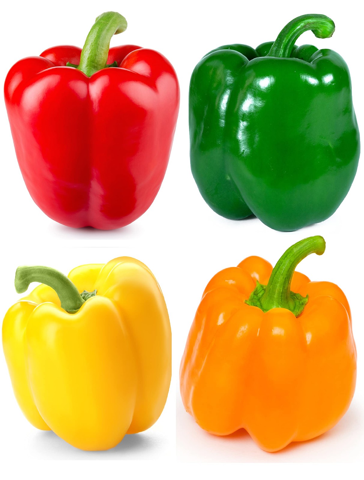 Sweet Bell Pepper Seeds Collection – Red Yellow Orange Green Bell Peppers – V…