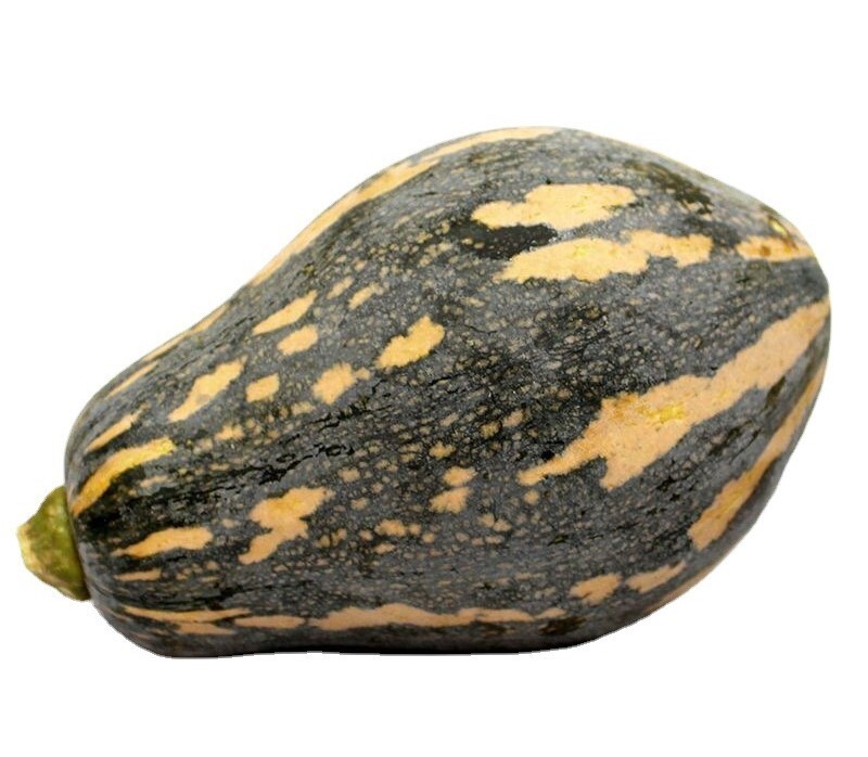 10+Taro Flavor Pumpkin Seeds XiangYu Nangua Chinese Winter Squash Hybrid F1 USA