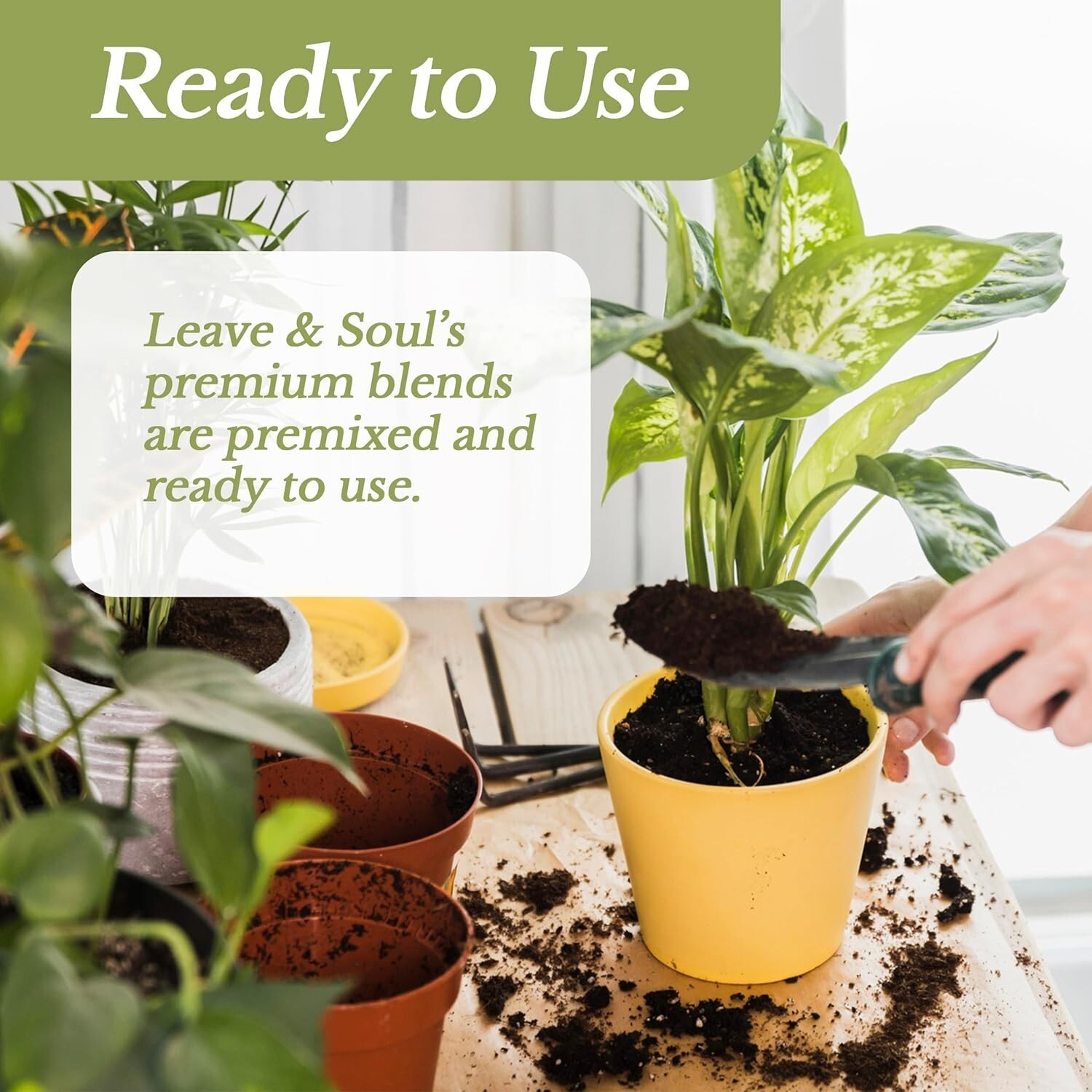 Ready-to-Use Carnivorous Plant Soil Blend – Perfect for All Varieties (2.2 Qts)