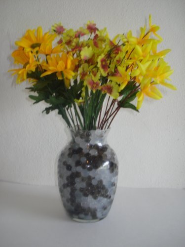Watering gel Beads for use with Lucky Bamboo & tropical plants reduce watering