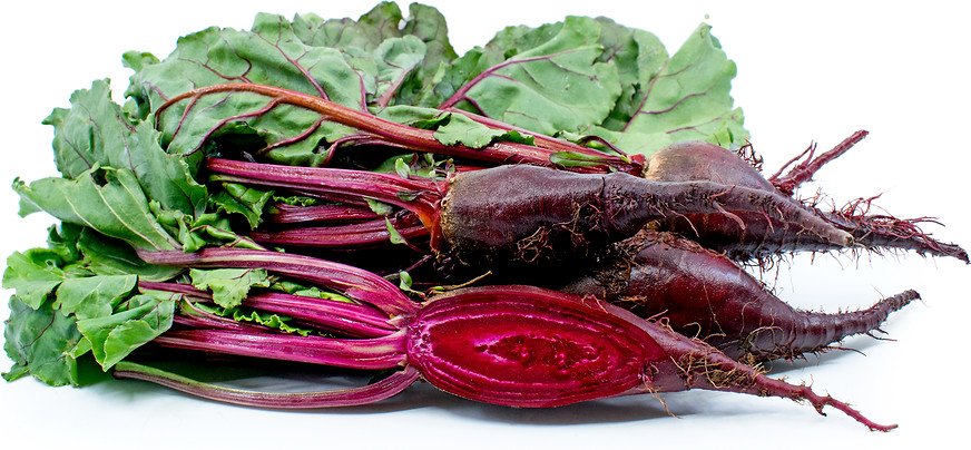 Cylindra beet seeds heirloom NON-GOM open pollinated delicious roasted HEALTHY!