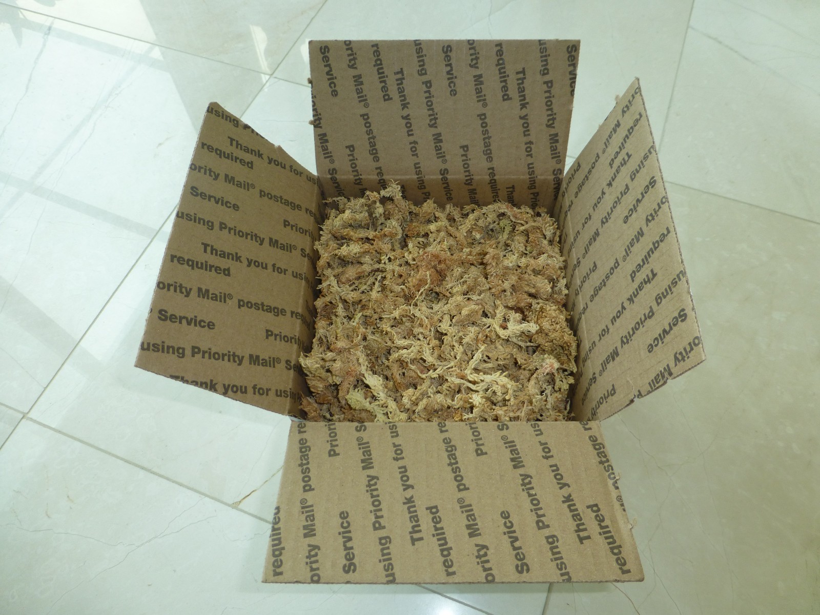 Premium New Zealand Sphagnum Moss AAA Grade for Plants Orchids Reptiles