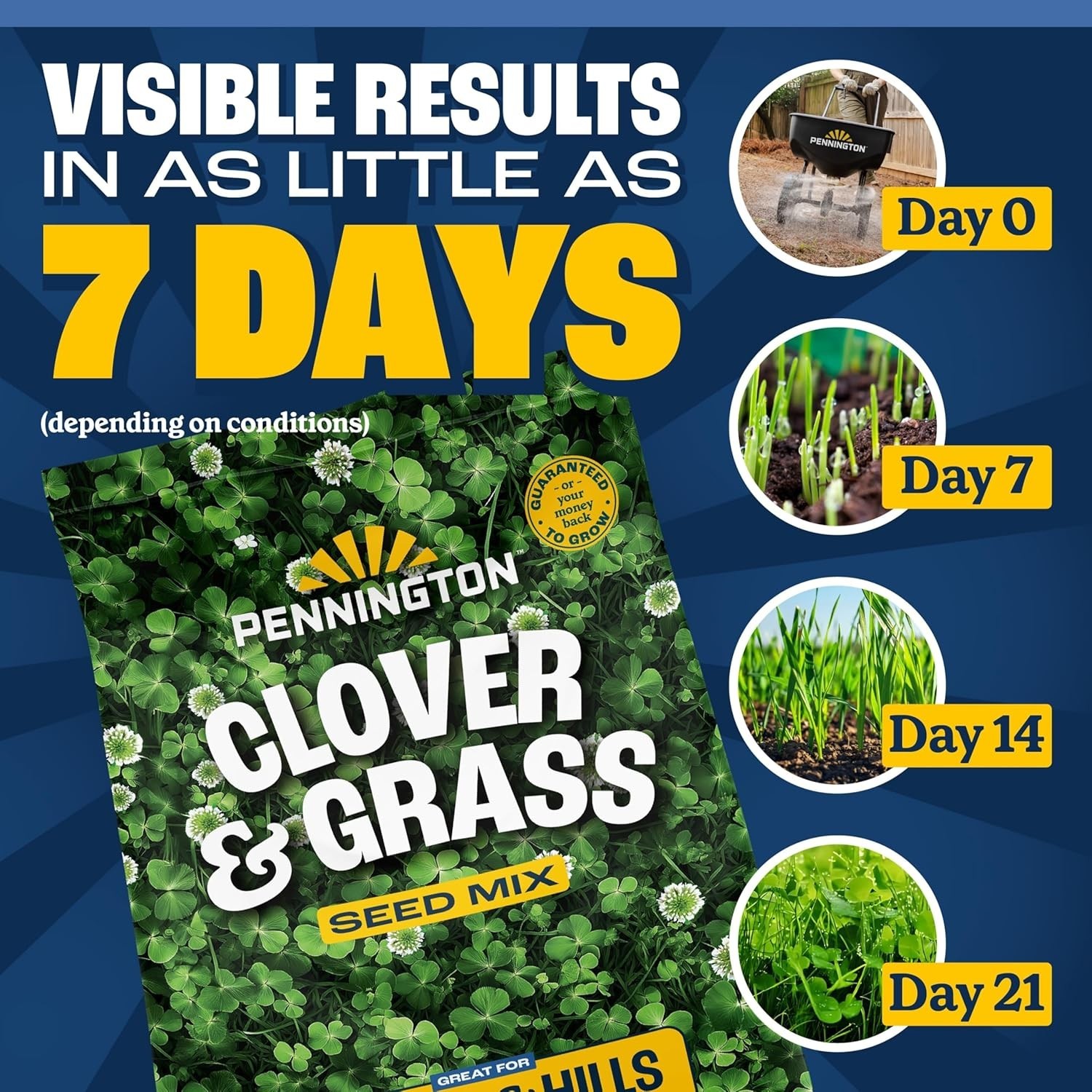 Clover + Grass Mix, Clover Seeds for Lawn, 7 LB