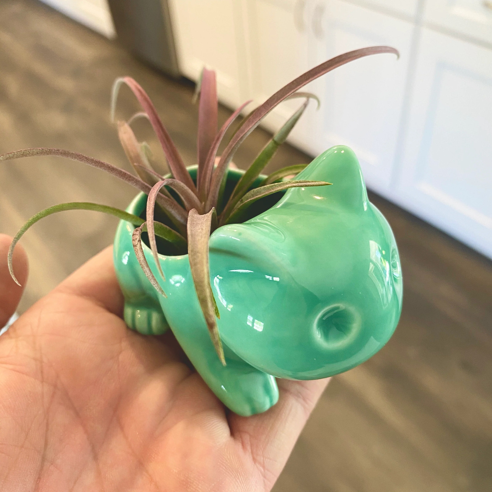 Bulbasaur Planter br (Includes Drainage Hole For Non Air Plants)