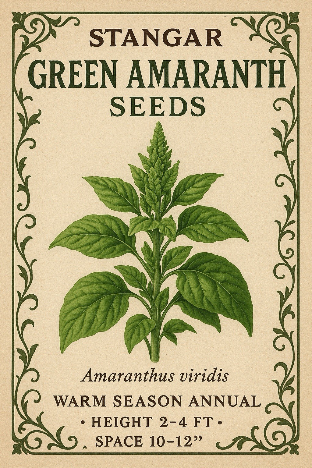 Stangar Green Amaranth Seeds
