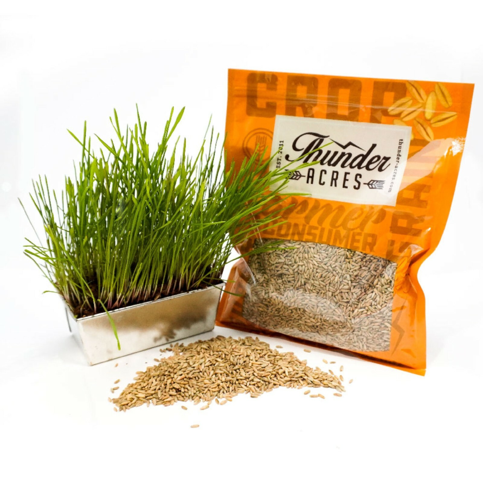Thunder Acres Organic Winter Rye Seeds, Non-GMO