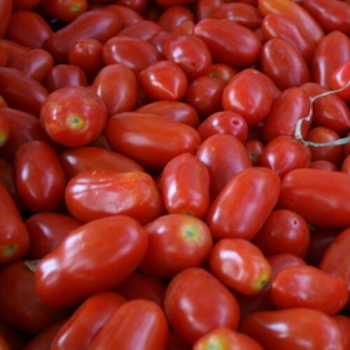 San Marzano Short Vine Tomato Seeds (Determinate) | Non-GMO | Free Shipping 1024