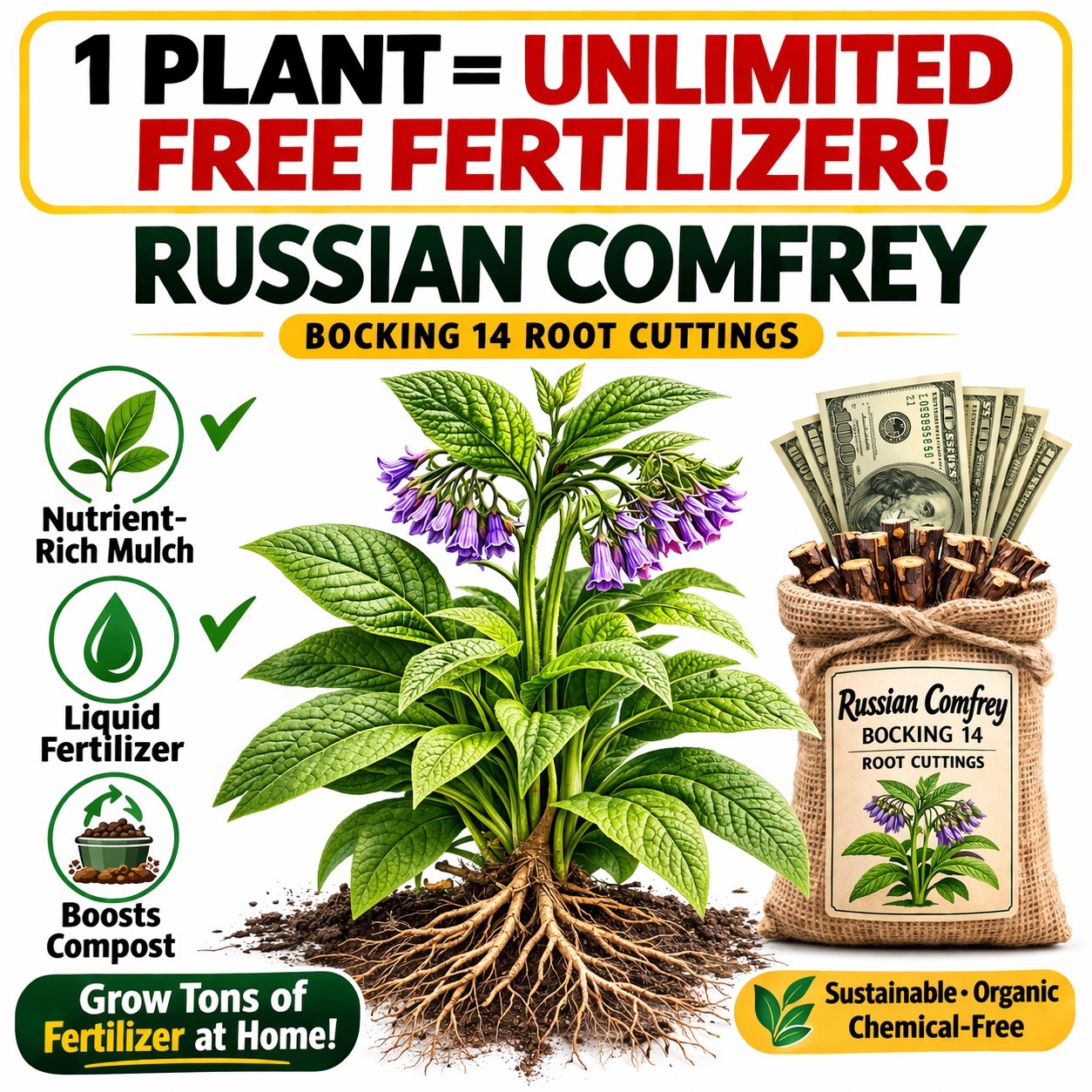 Russian Comfrey Bocking #14, (5) matured Root Cuttings or 1 Established plant