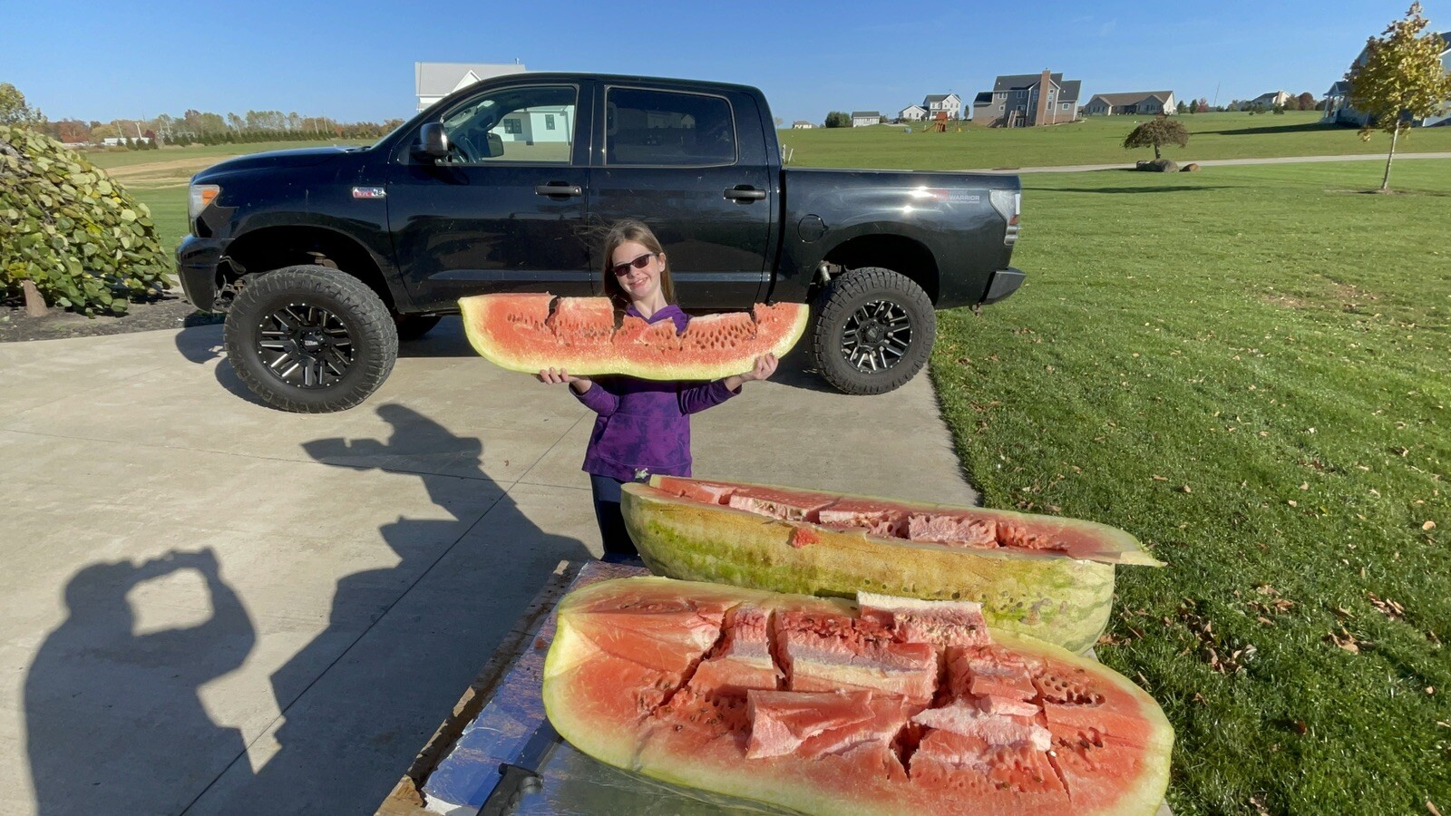 222 Lb Giant Watermelon. $25For 5 Seeds. Free Shipping Worldwide!!