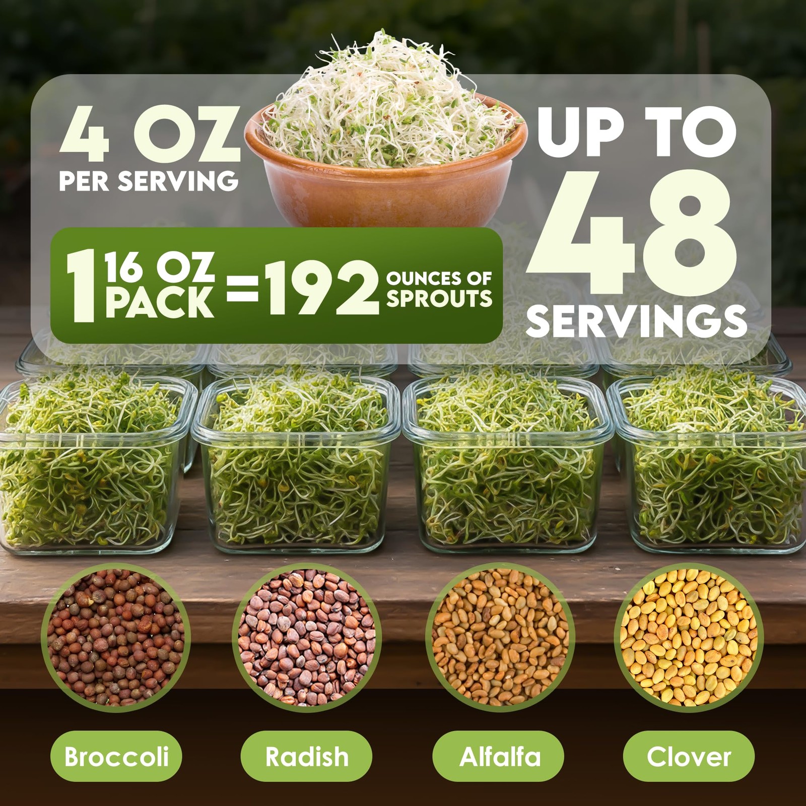 Nature Jims Organic Microgreen Seeds, Broccoli Alfalfa Radish Clover, 1 lb