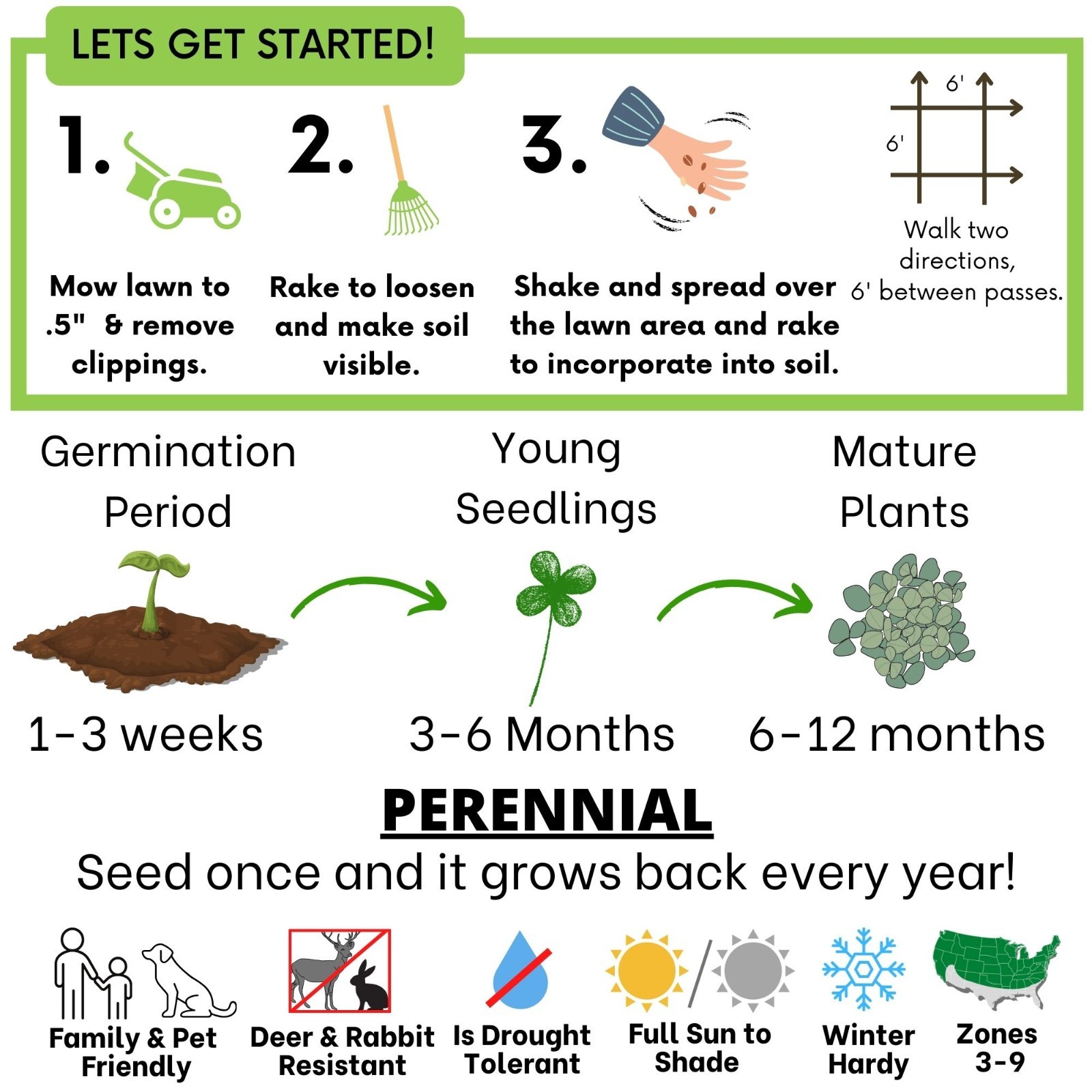 Micro Clover Seed, Organic Coated, Eco-Friendly, Low Growing, Low Maintenance