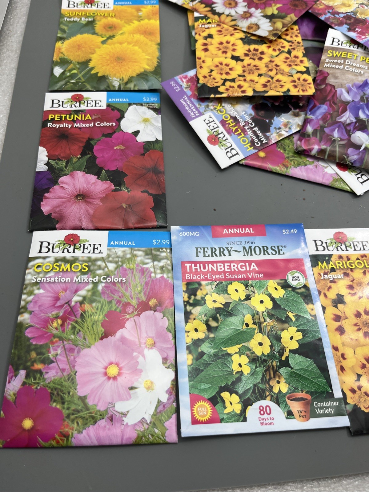 Flowers annual perennial Plant Seeds (Assorted Lot of 100) sell by 11/26 Garden