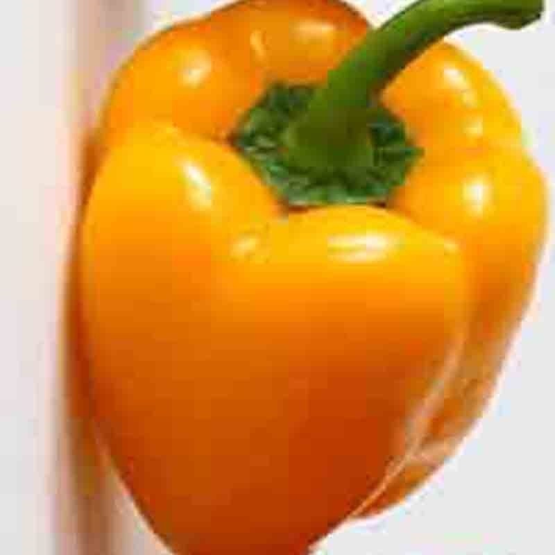 CALIFORNIA WONDER YELLOW PEPPER SPRING GARDEN HEIRLOOM 25 SEEDS NON-GMO USA