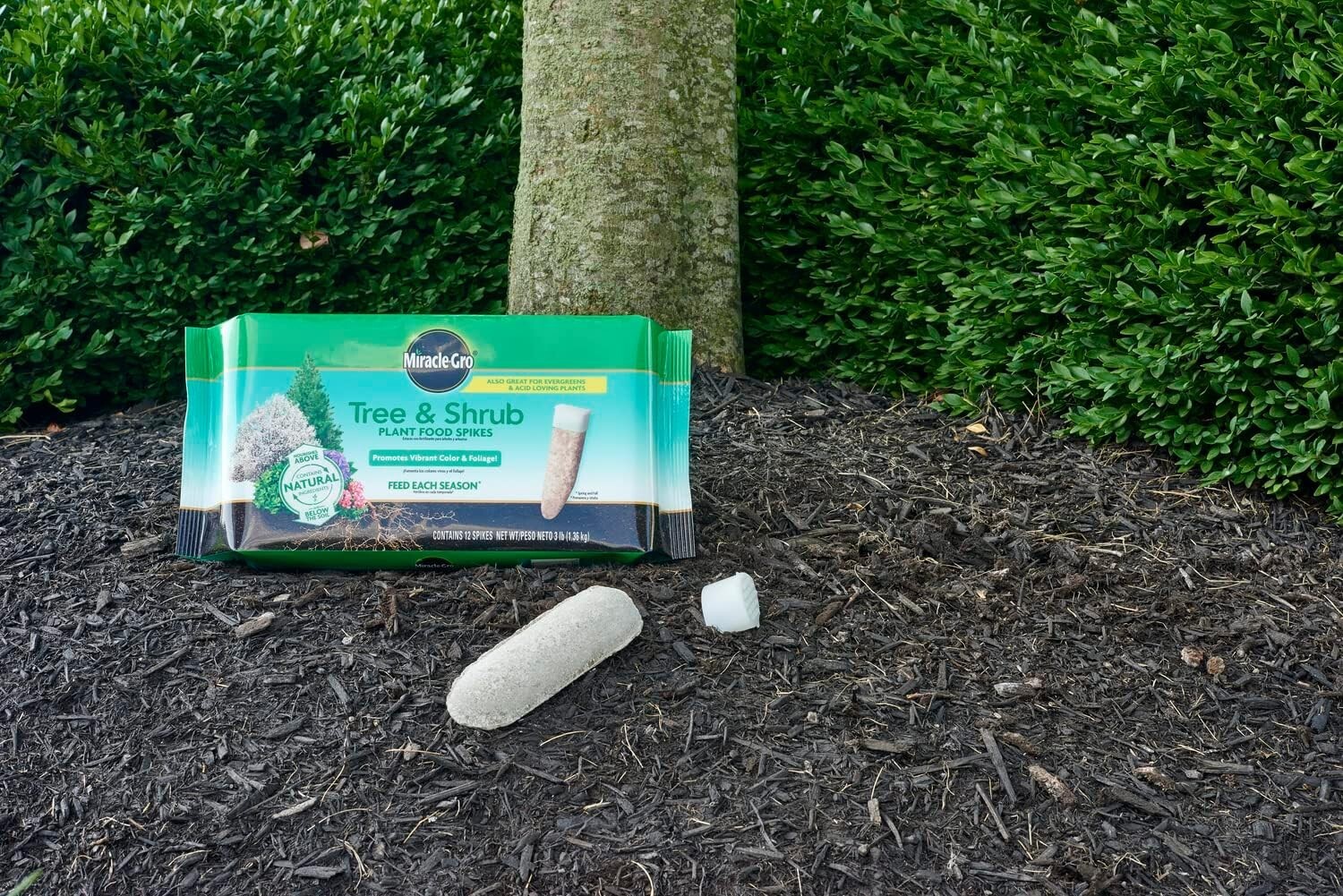 Nutrient-Rich Tree & Shrub Plant Food Spikes – Perfect for Spring & Fall Care