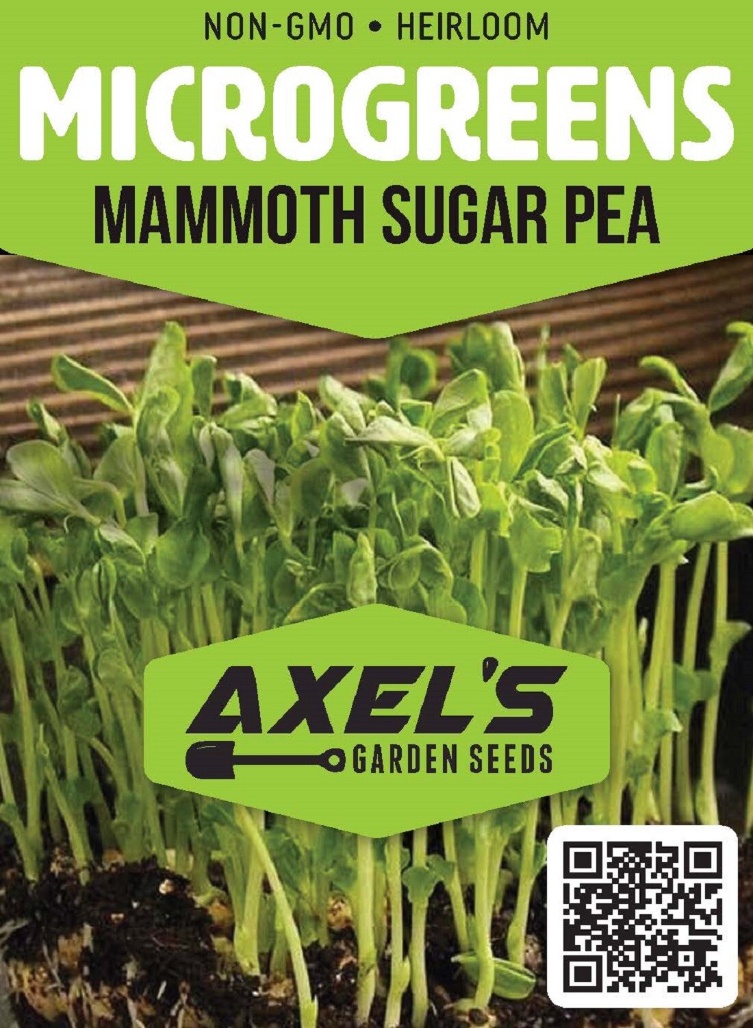 Mammoth Snow Sugar Pea MICROGREEN Seeds | Non-GMO Heirloom | Seeds for Sprouting