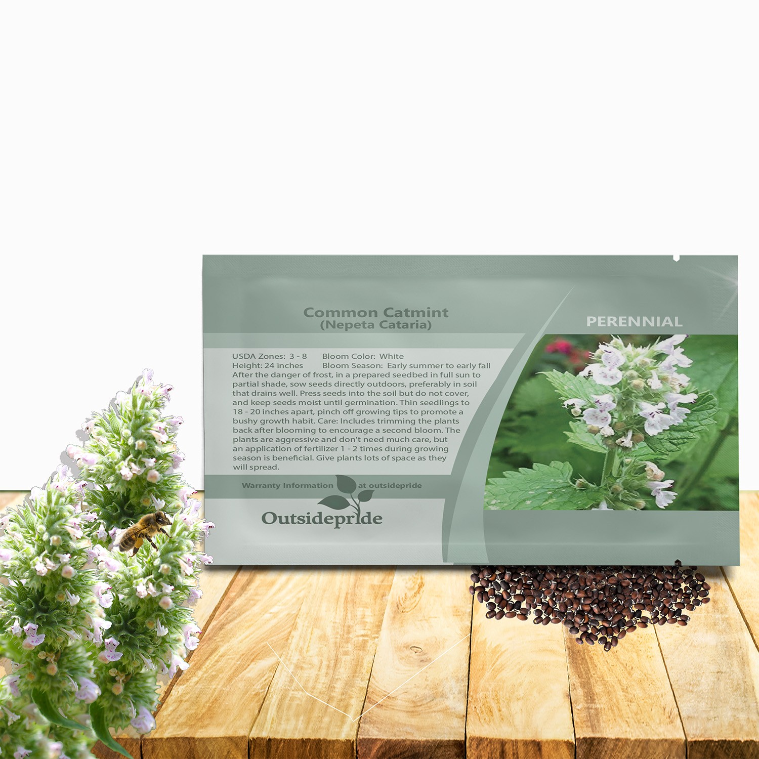 10000 Seeds Common Catmint Nepeta Cataria White Flowering Drought Resistant Herb