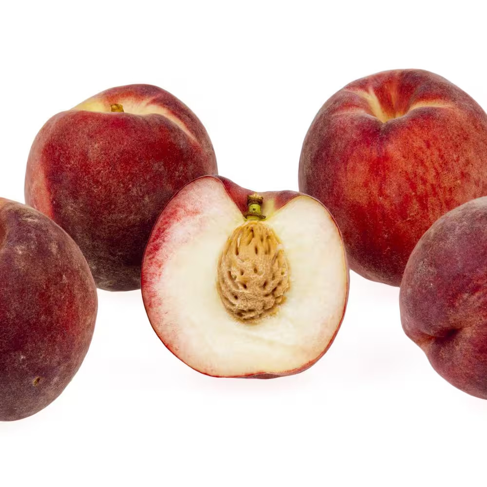 Snow Queen White Nectarine Tree (Bare-Root, 3 Ft. to 4 Ft. Tall, 2-Years Old)