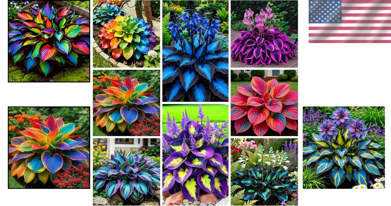 Attract Pollinators with 290+ Low Maintenance Hosta Seeds – Perfect for Gardens