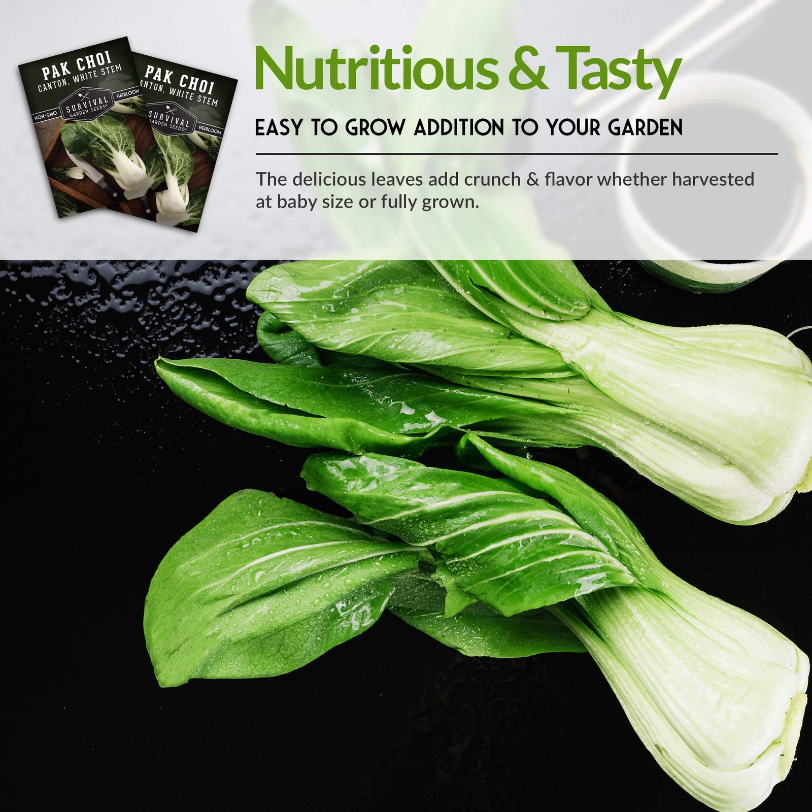 Survival Garden Seeds: Bok Choy Pack with Growing Instructions – Non-GMO