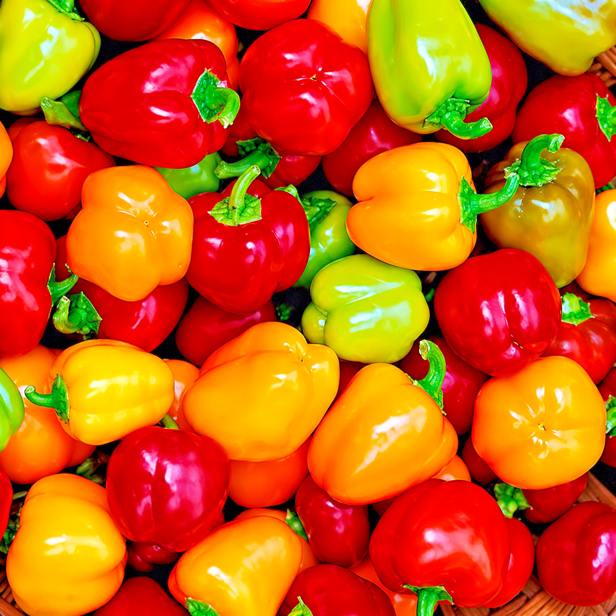 50 Sweet Mini Bell Pepper Seeds, Red, Yellow, and Brown- NON-GMO, USA