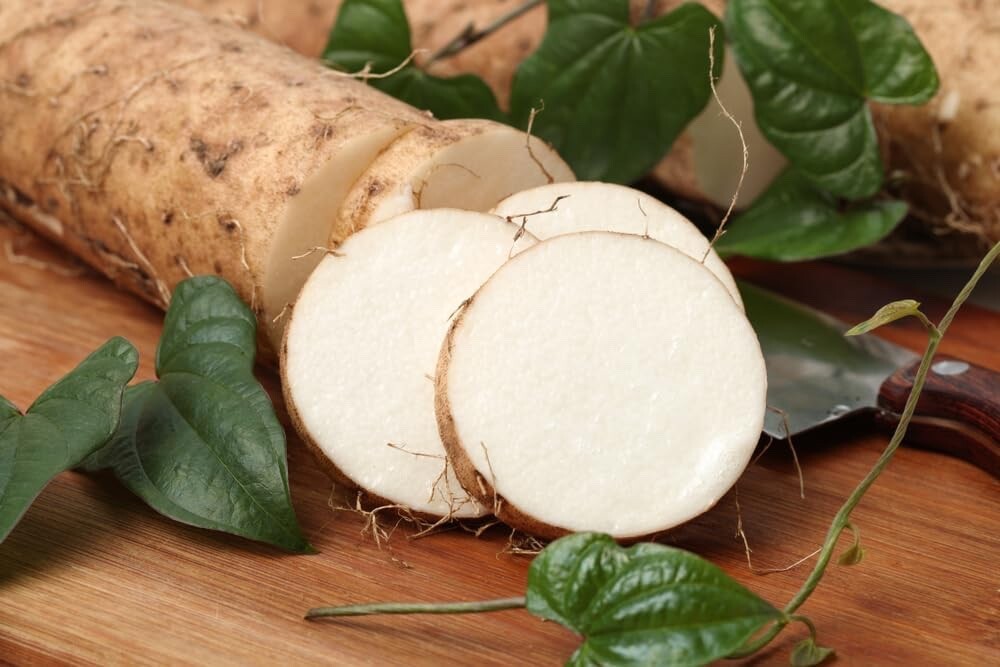 White Sweet Potato Slips