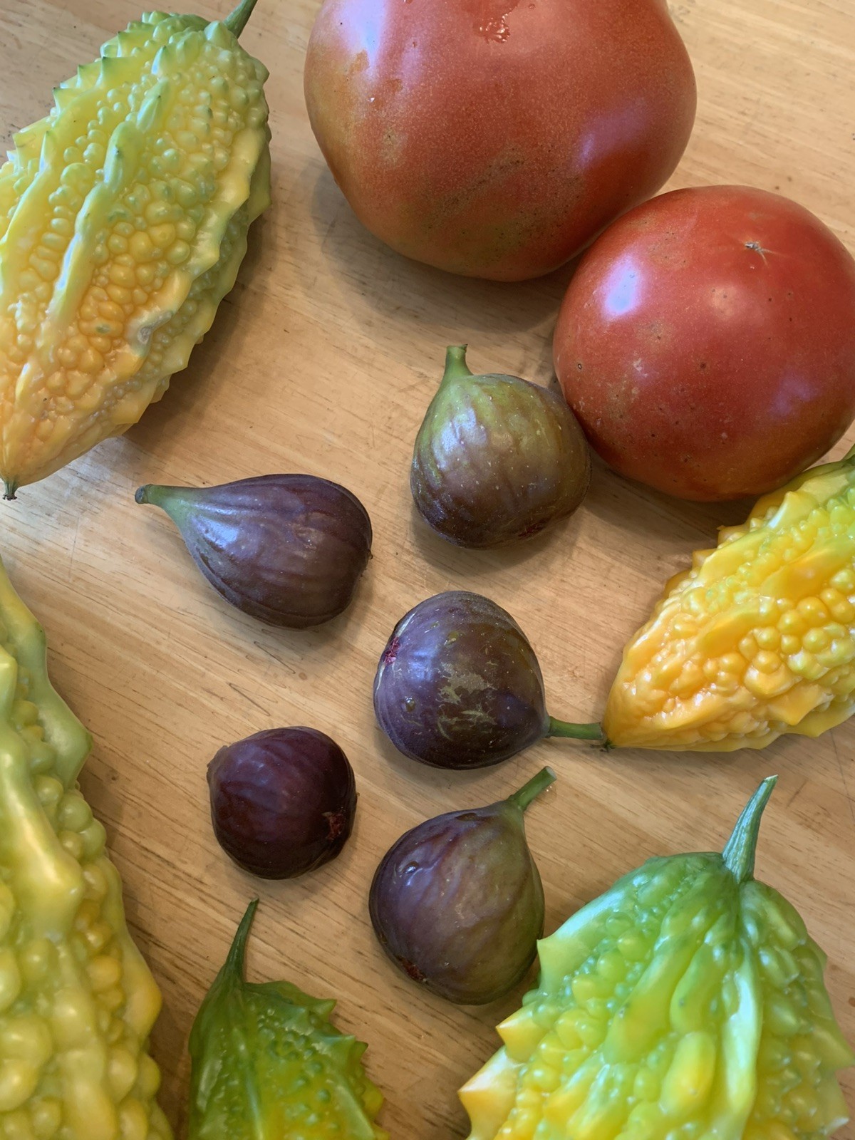 Two Fig Trees