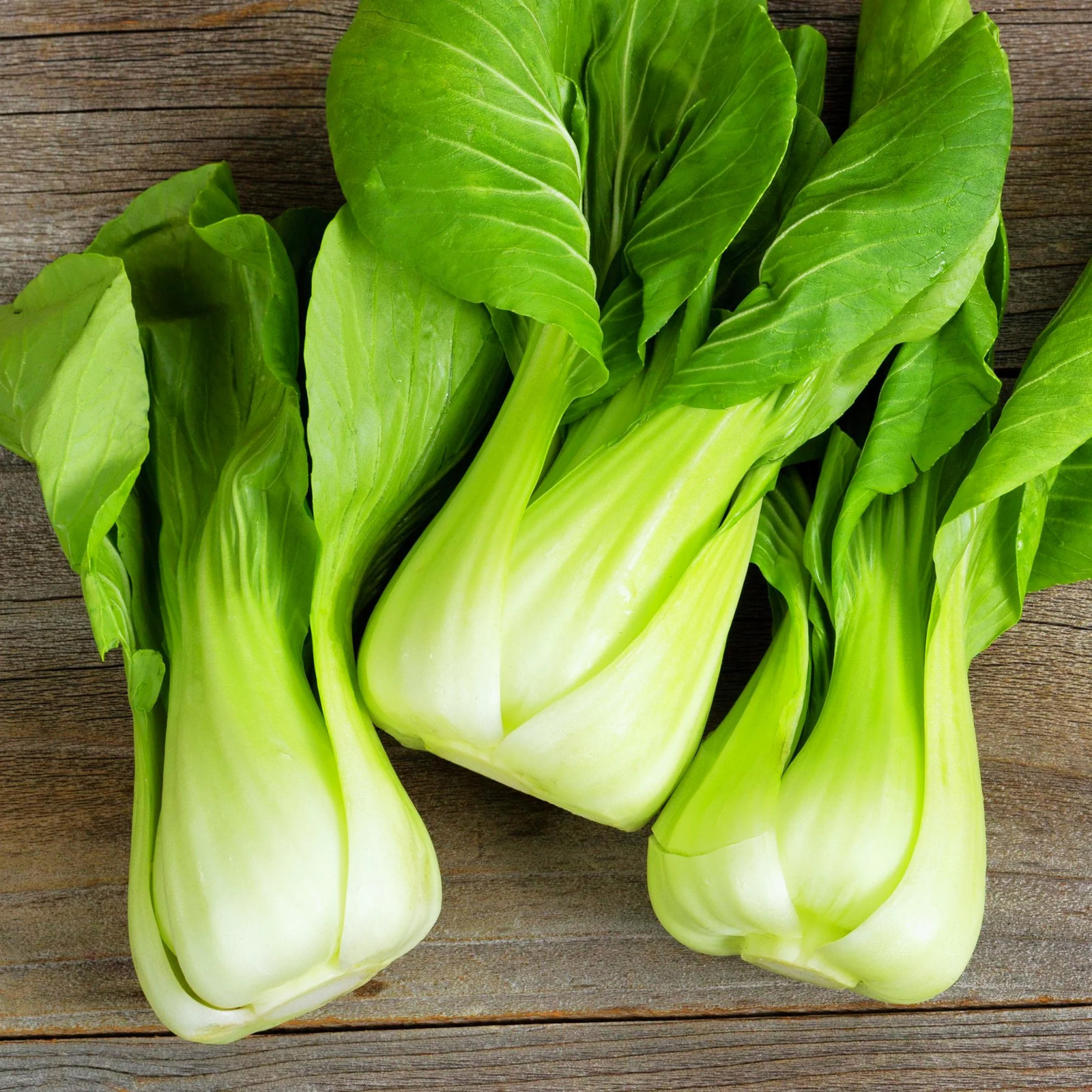 Wa Wa Qing F1 Bok Choy Seeds | Hybrid Shanghai Pak Choi Seed 2024 Fast Shipping
