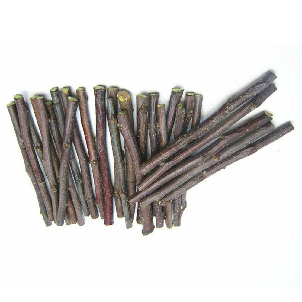 6 oz Organic Apple Wood Chew Sticks Twigs Pets Rabbit Hamster Guinea Pig Toy