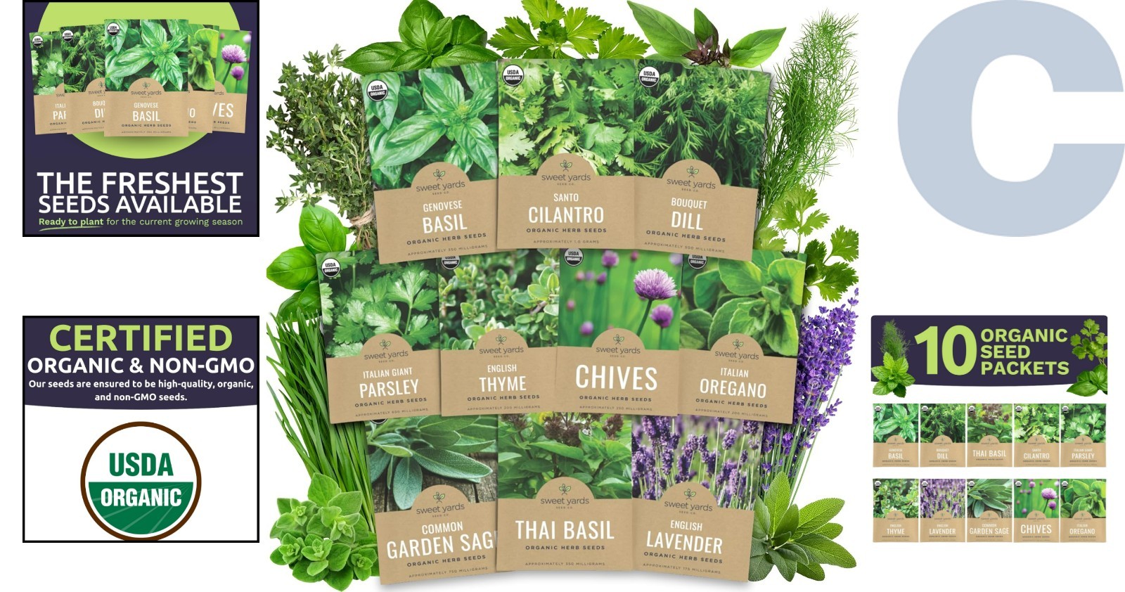 Culinary Herb Seeds Variety Pack – 10 Organic Herbs with High Germination Rates