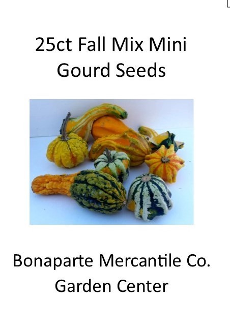 25 + Mix Fall Mini Gourd winter squash heirloom Non-GMO seeds