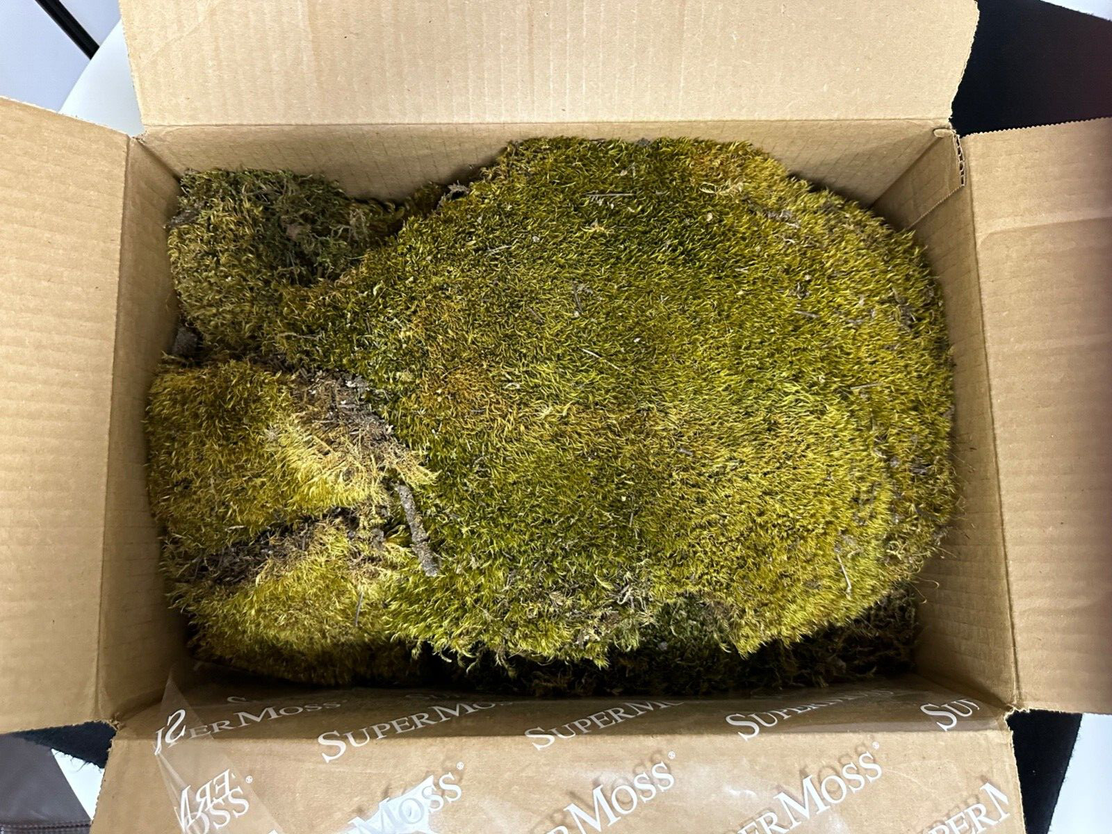 Super Moss 3lb Box Mood Moss / #21538