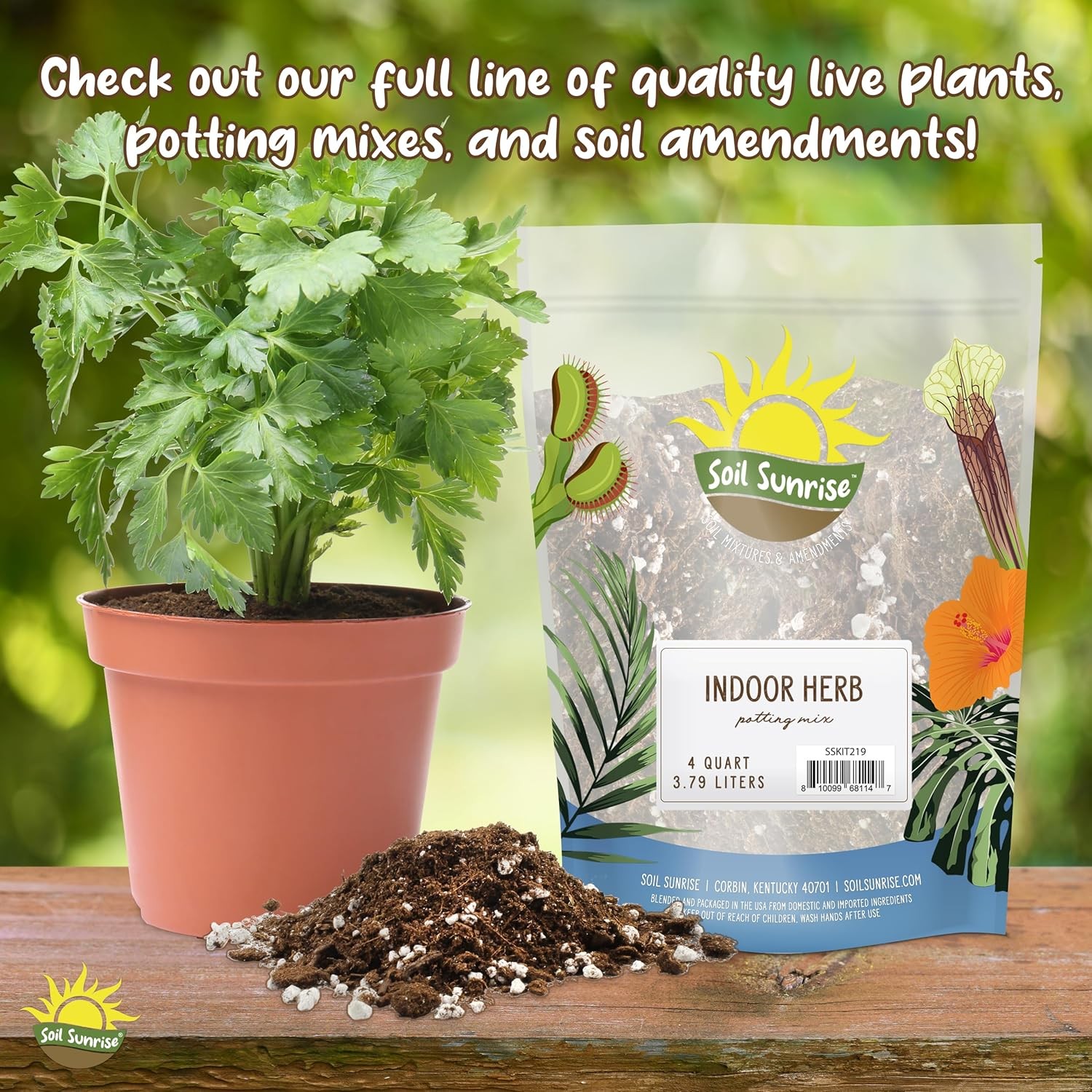 Hoya Plant Potting Soil Mix (8 Quarts), Custom Blend for Growing 8 Quarts