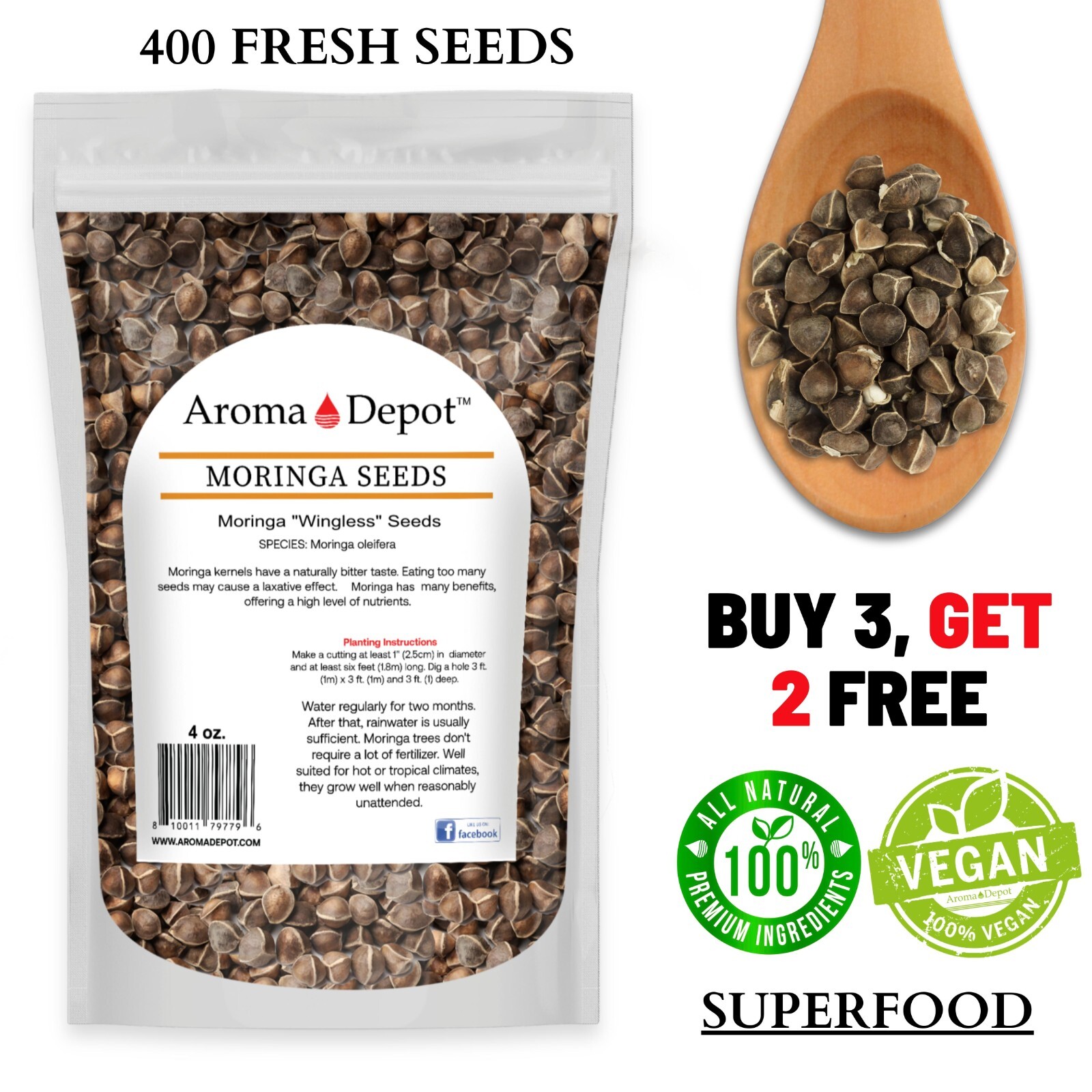 Moringa Seeds 4 oz. Wingless 400 Semillas de Moringa Oleifera Pepa Malunggay