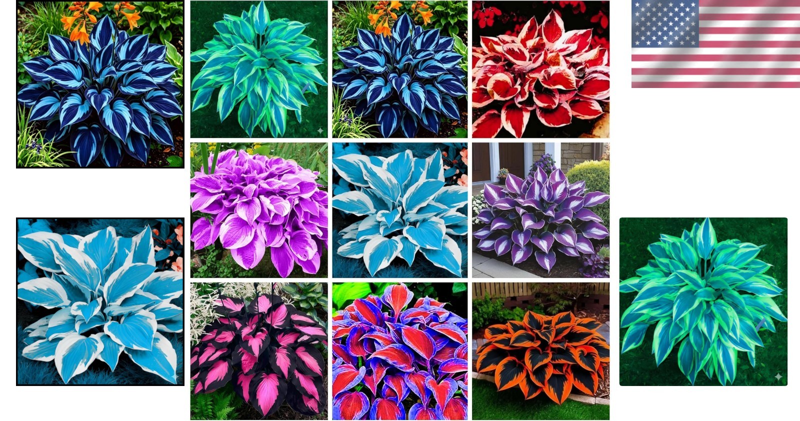 Rare 390+ Hosta Seeds – Vibrant Outdoor Plants for Low Maintenance Gardens