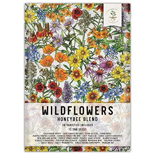 , Bulk 12,500 Seeds Honey Bee Wildflower Medium Pack (12,500 Seeds)