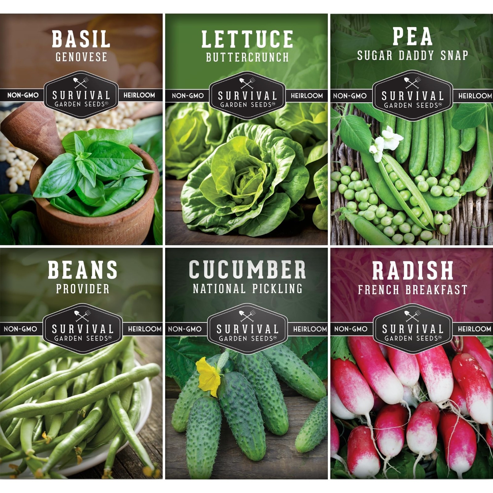 Survival Garden Seeds Kids’ Easy Collection – Cucumber, Multicolor