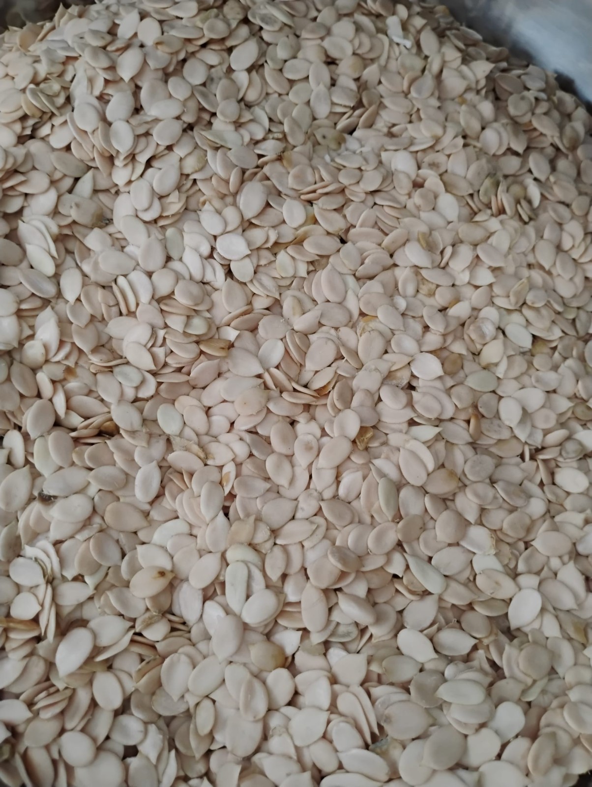Melon Seed | Egusi | Citrullus lanatus | African Cuisine Essential | 250g Pack
