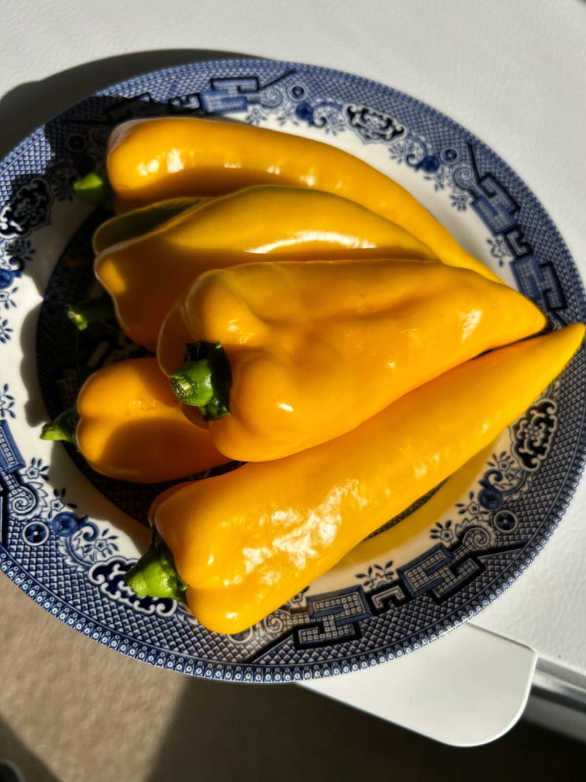 30+ Golden Marconi Pepper Seeds Sweet NON GMO