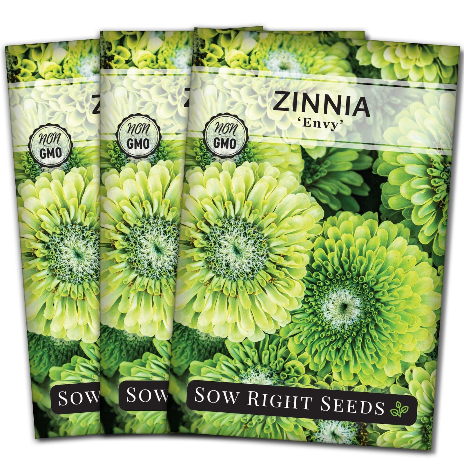 Zinnia Envy Flower Seeds – Non-GMO, Heirloom, Chartreuse – Attract Pollinators