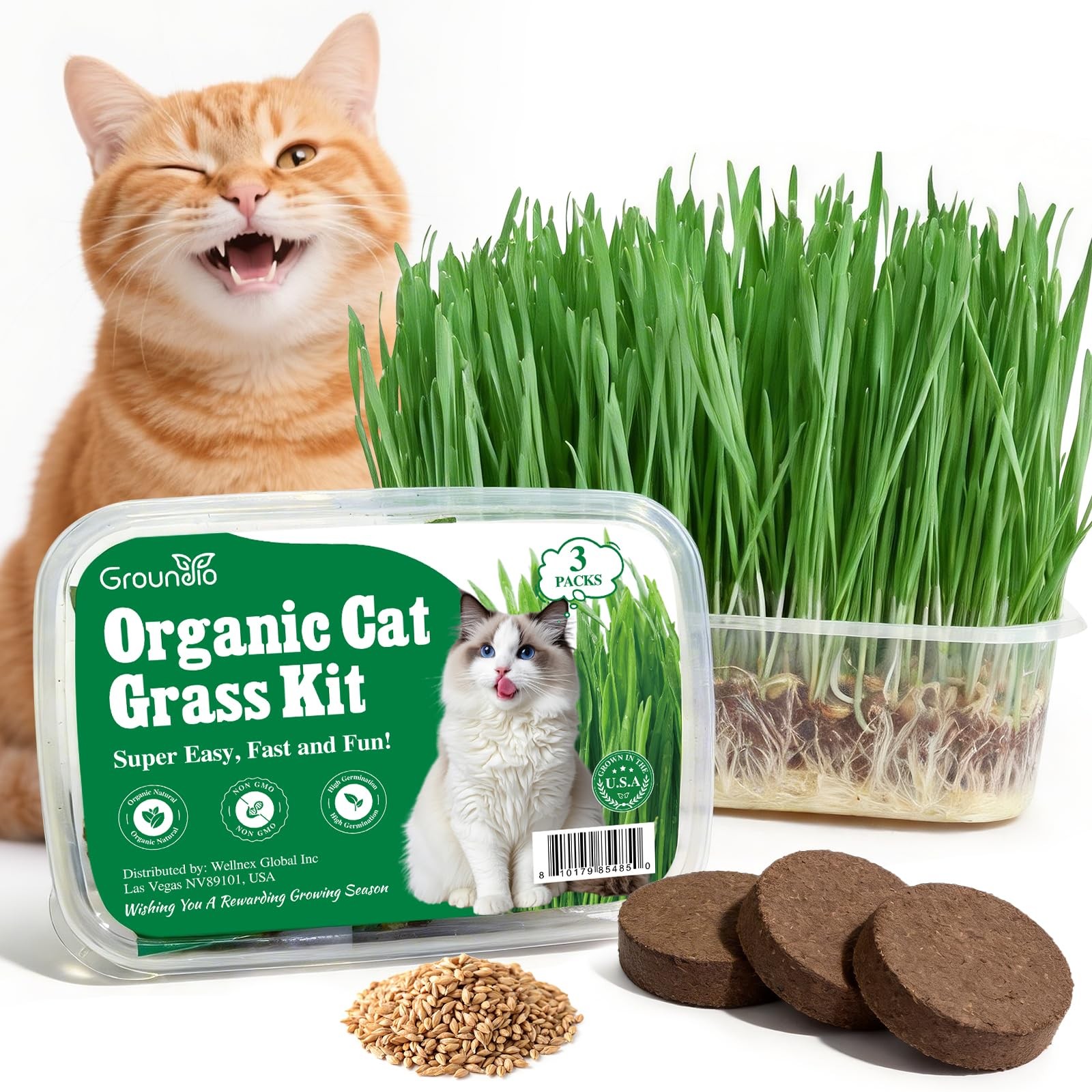 Indoor Cat Grass Seeds Kit Organic, NonGMO, High Germination Rate, BPA Free