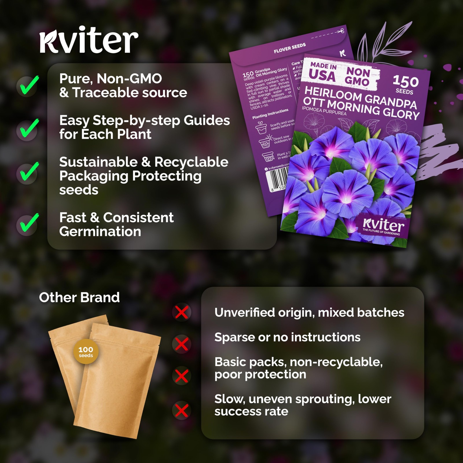 KVITER 150 Grandpa Ott Morning Glory Seeds (Ipomoea purpurea)