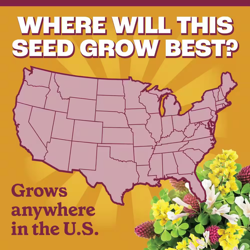 2 Lbs. 1,000 Sq. Ft. Garden Cover Crop Nitrogen Restoring Plant Seed Mix