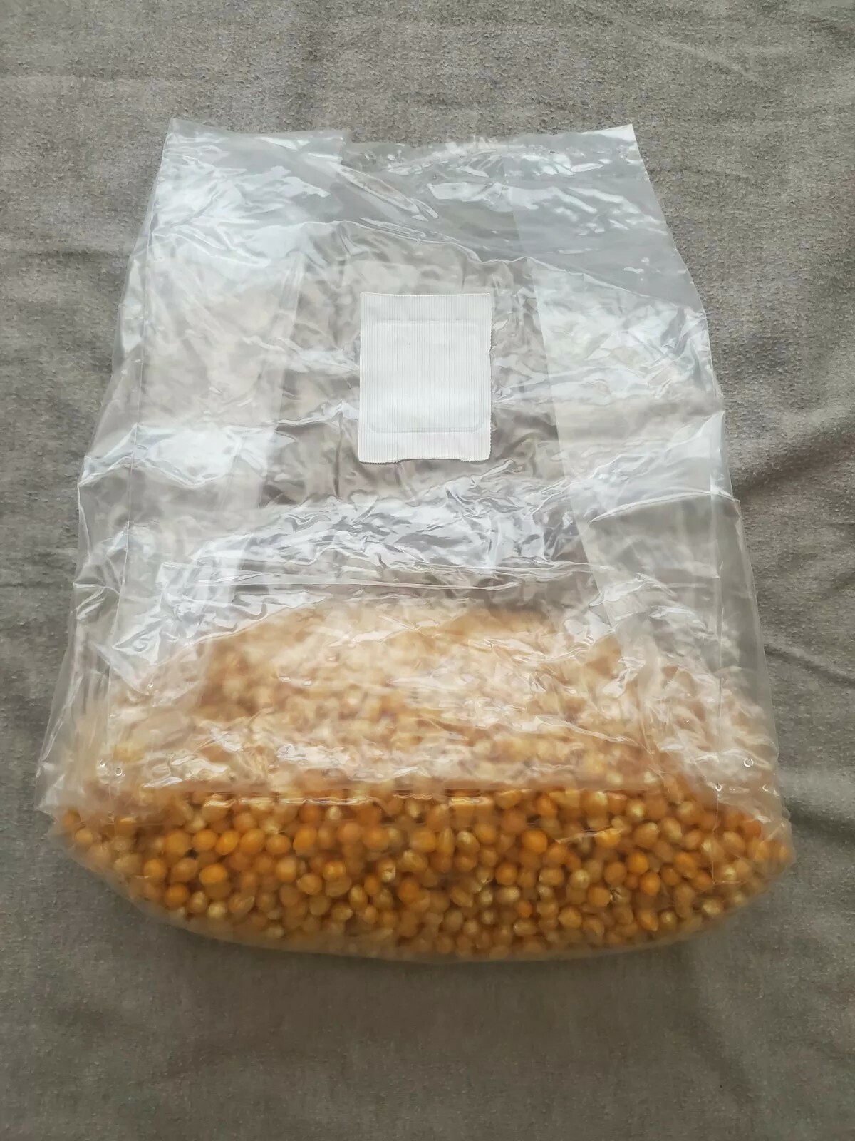 3 Pound Sterilized Popcorn Mushroom Substrate With Gypsum