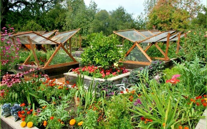 #11 Heirloom Vegetable Seeds 6 Variety Garden Set Emergency Survival NON-GMO WOW