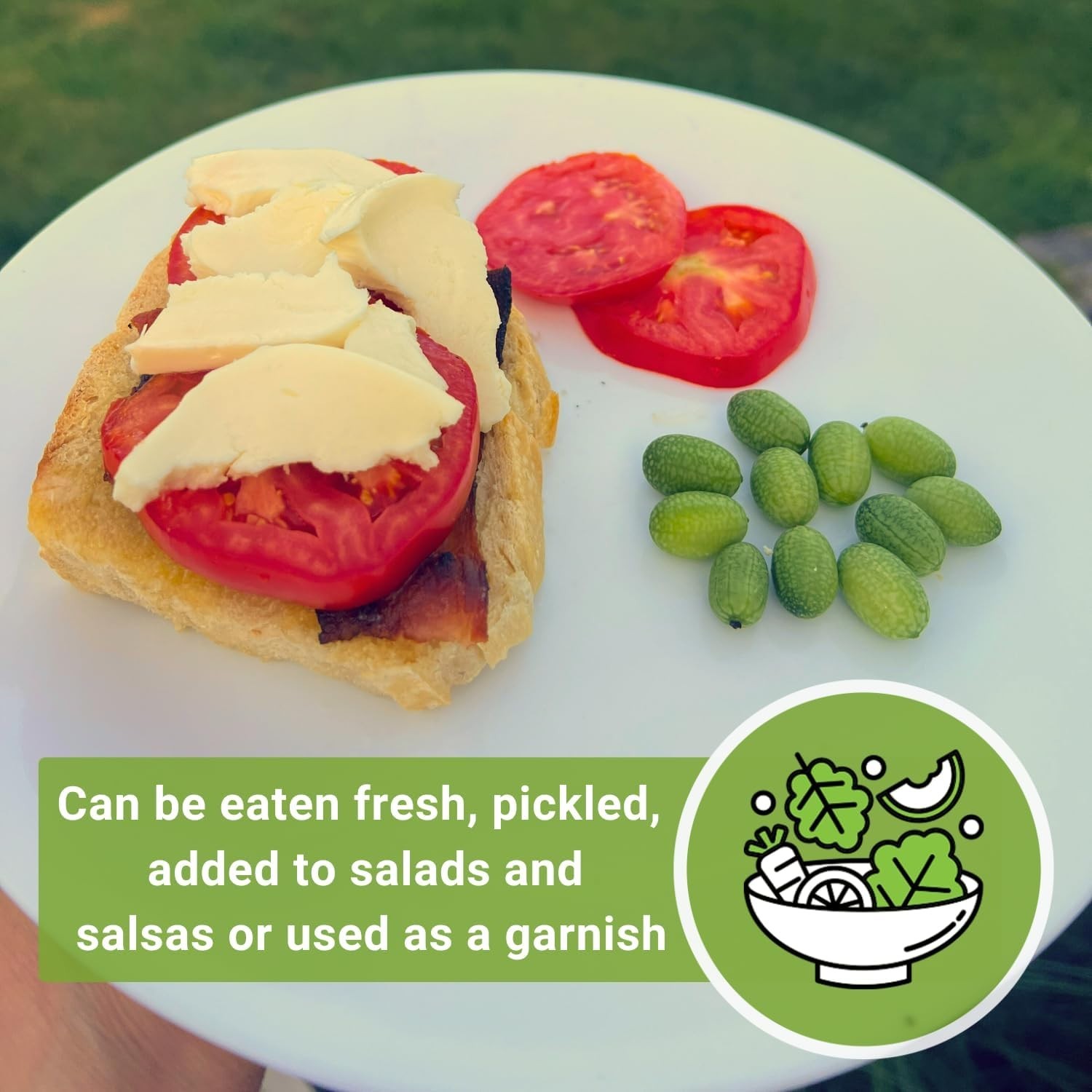 Cucamelon Seeds Non-GMO Heirloom Mexican Sour Gherkin Mouse Melon Pack