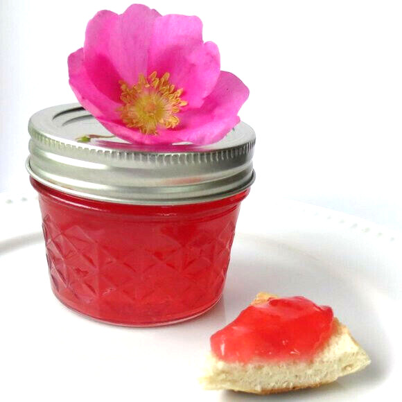 Alaska Wild Rose Flower – Rosa acicularis – 100+ Seeds – Rose Jam – From Denali