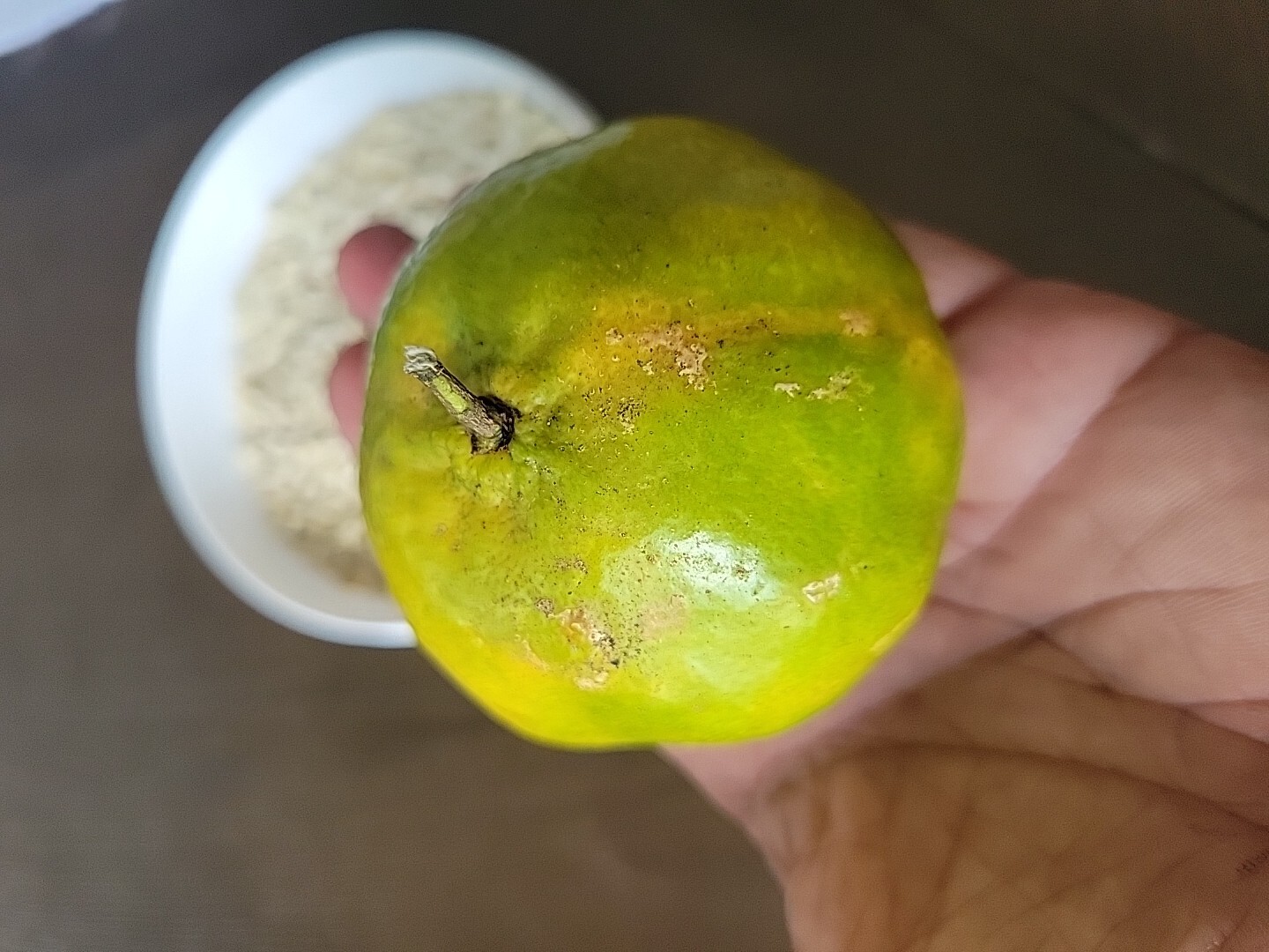 100 Fresh Mandarin Orange Seeds Very Sweet And Juice From Puerto Rico 🇵🇷
